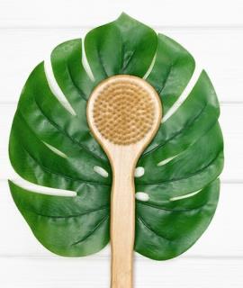 Full Body Dry Brush Exfoliation w/ Take Home Dry Brush